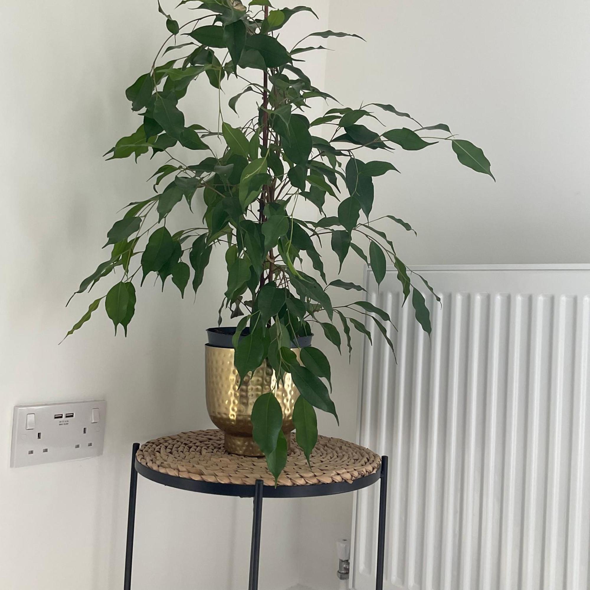 The Parkes A Stylish 3Br House, 5 Mins From Central Birmingham Close To The Edgbaston Stadium, The Hippodrome, Uob, Aston And Bcu, China Town, Kings Heath Bhx Airport And Much More エクステリア 写真